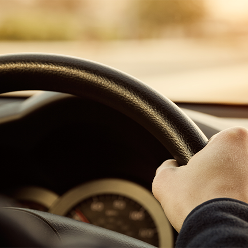 Male Steering Wheel